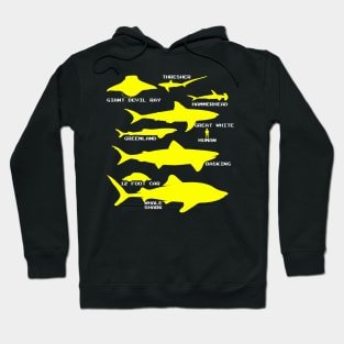 Shark Size | Ocean Sea Animal Fish Fishing Hoodie